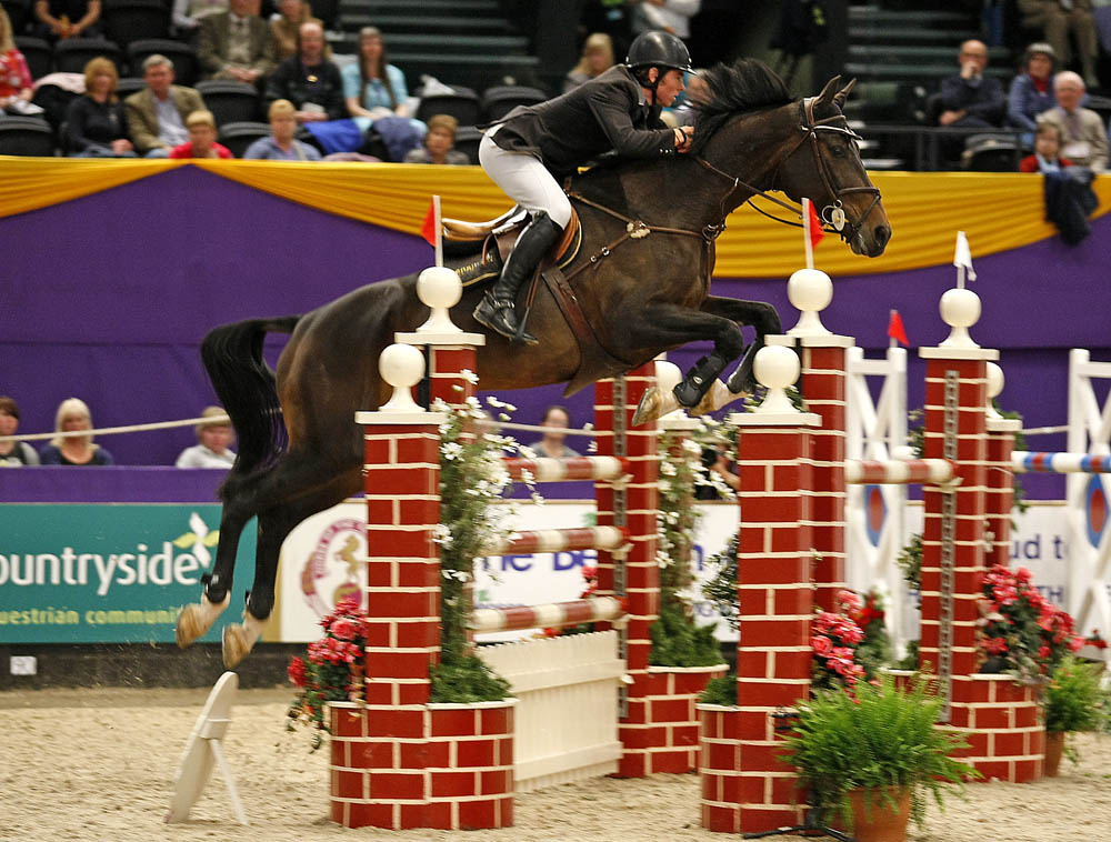 Internaional Show Jumper Shearwater Upanda and Joe Whitaker